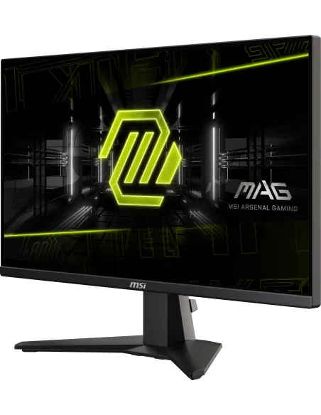 MSI MAG 255F E20 pantalla para PC 62,2 cm (24.5") 1920 x 1080 Pixeles Full HD LCD Negro