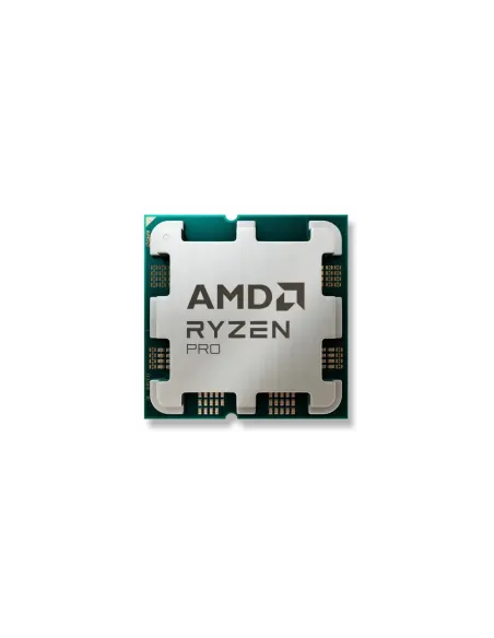 AMD Ryzen 5 PRO 8600G procesador 4,3 GHz 16 MB L3