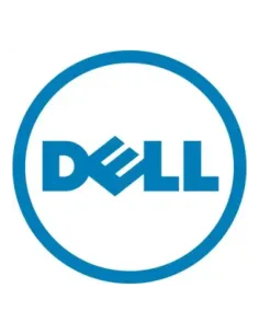 Disco duro interno dell 2.5 pulgadas 2.4tb sas 12gb - s 10000rpm 161 - bclh