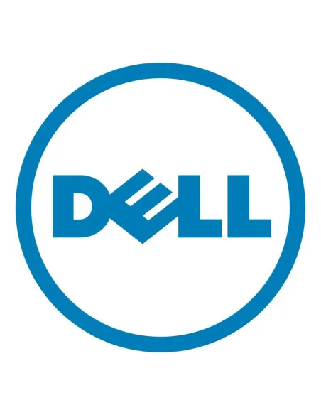 Disco duro interno dell 2.5 pulgadas 2.4tb sas 12gb - s 10000rpm 161 - bclh