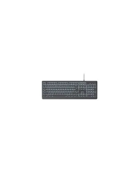 Teclado Trust Primo 25821