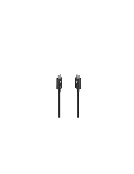Lindy 31130 cable Thunderbolt 1 m 80 Gbit/s Negro