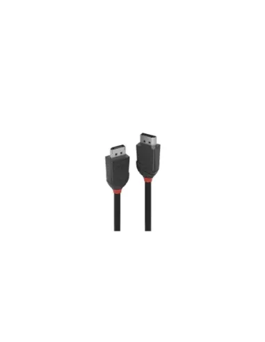 Lindy 36492 cable DisplayPort 2 m Negro