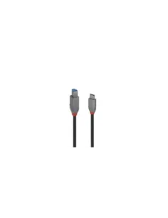 Lindy 36666 cable USB USB 3.2 Gen 1 (3.1 Gen 1) 1 m USB C USB B Negro
