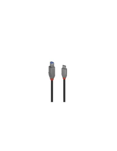 Lindy 36667 cable USB USB 3.2 Gen 1 (3.1 Gen 1) 2 m USB C USB B Negro