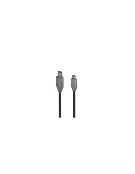 Lindy 36667 cable USB USB 3.2 Gen 1 (3.1 Gen 1) 2 m USB C USB B Negro