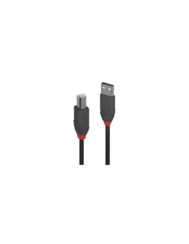 Lindy 36670 cable USB USB 2.0 0,2 m USB A USB B Negro, Gris