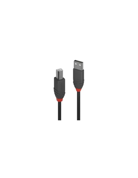 Lindy 36672 cable USB USB 2.0 1 m USB A USB B Negro