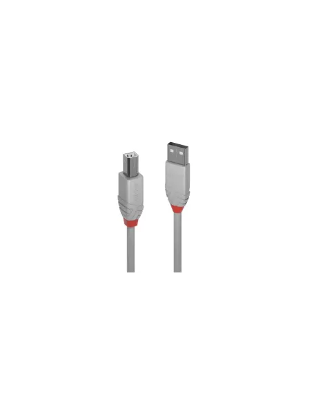 Lindy 36683 cable USB USB 2.0 2 m USB A USB B Gris