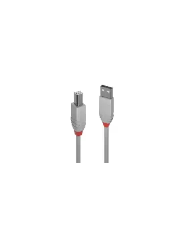 Lindy 36684 cable USB USB 2.0 3 m USB A USB B Gris