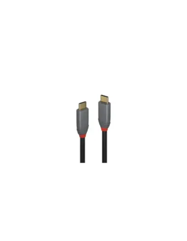 Lindy 36900 cable USB 0,5 m USB C Negro, Gris