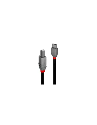 Lindy 36940 cable USB USB 2.0 0,5 m USB C USB B Negro