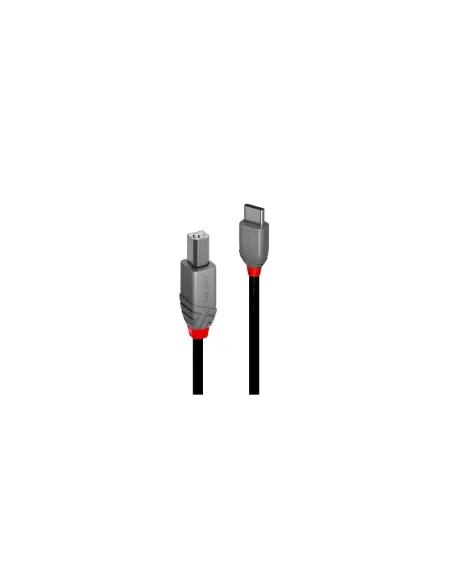 Lindy 36941 cable USB USB 2.0 1 m USB C USB B Negro