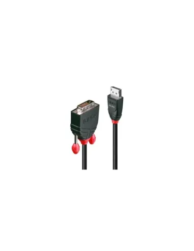 Lindy 41491 adaptador de cable de vídeo 2 m DisplayPort DVI-D Negro