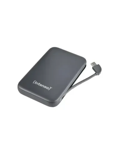 Intenso PowerBank S10000 10000 mAh Gris