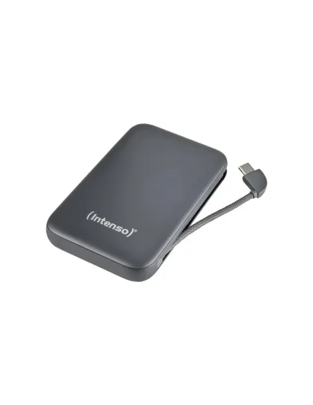 Intenso PowerBank S10000 10000 mAh Gris