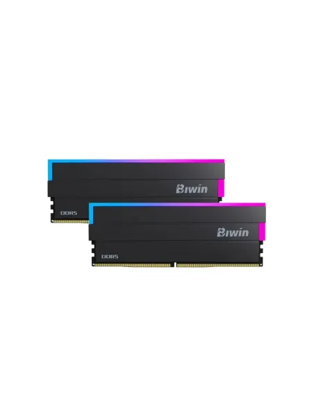Biwin DW100 DDR5 6000 48GB CL28 (24*2) Black RGB