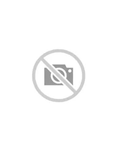 Figura ichibansho gintama katsura