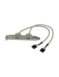 Adaptador placa  usb a h 2 puertos