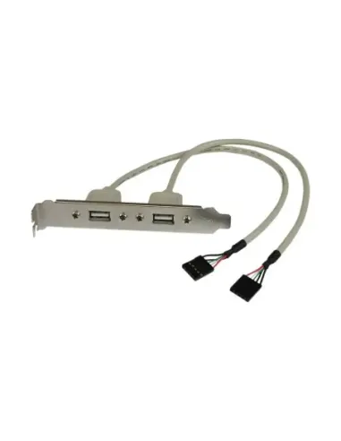Adaptador placa  usb a h 2 puertos