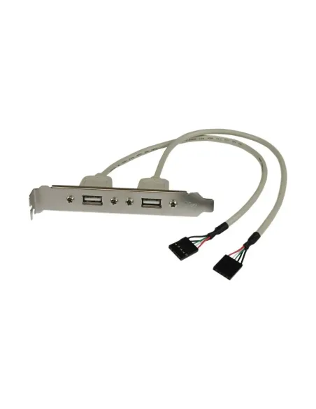 Adaptador placa  usb a h 2 puertos