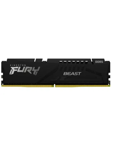 Kingston Technology FURY Beast