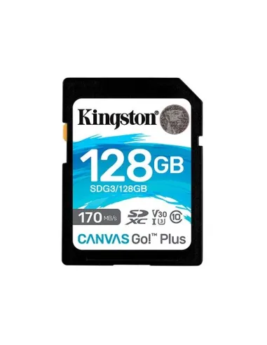 Kingston Technology Canvas Go! Plus