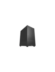 FSP S110-B Small Form Factor (SFF) Negro