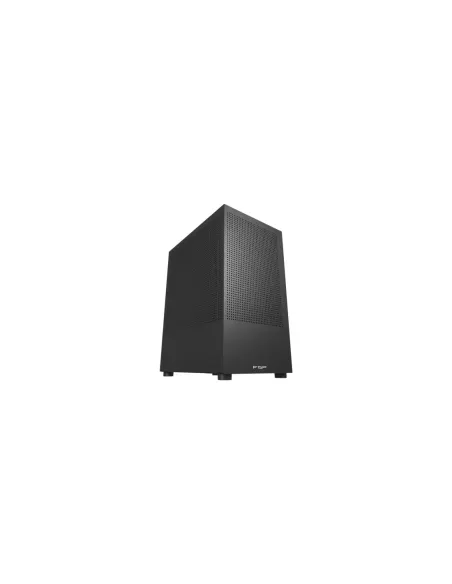FSP S110-B Small Form Factor (SFF) Negro