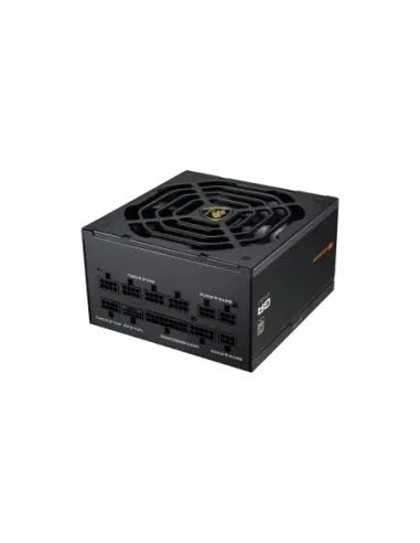 Cougar Fuente Alimentación GR 1000w 80 Plus Gold