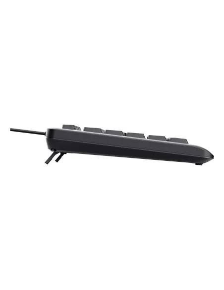 Trust Primo Beleuchtete teclado Hogar   Oficina USB QWERTY Español Negro