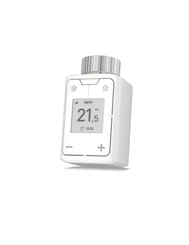 DECT 302 International