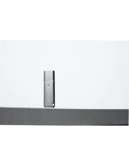 Kingston Technology IronKey 128GB IKLP50 AES USB, w 256bit Encryption