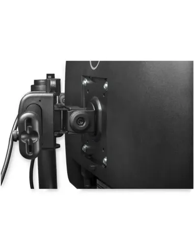 StarTech.com Brazo para Escritorio de Dos Monitores - con Barra Horizontal - Soporte de Mordaza Ojal para Escritorio