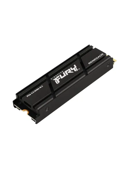 Kingston Technology 4000G RENEGADE PCIe 4.0 NVMe SSD W  Difusor térmico
