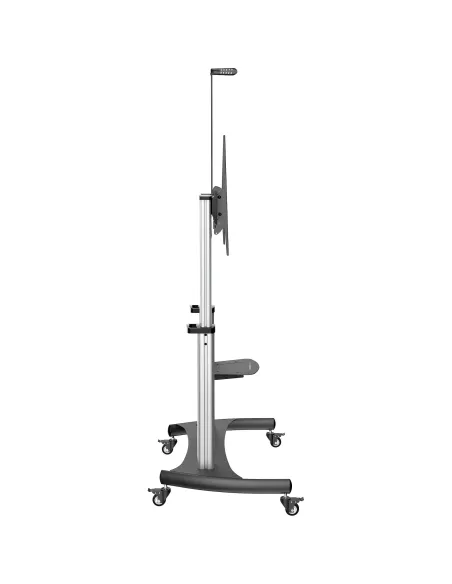 StarTech.com Soporte Móvil de TV - Carrito de TV de Servicio Pesado para Pantallas de 60 a 100 Pulgadas - 100kg - Soporte