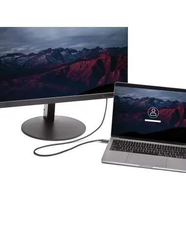 StarTech.com Cable de 2m USB-C a DVI - 1920 x 1200 - Negro