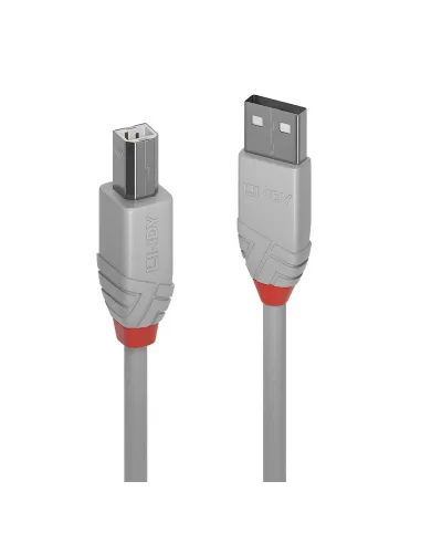 Lindy 36684 cable USB USB 2.0 3 m USB A USB B 0,48 Gbit s Gris