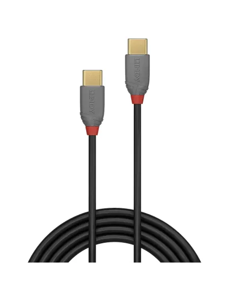 Lindy 36873 cable USB USB 2.0 3 m USB C 0,48 Gbit s Negro, Gris