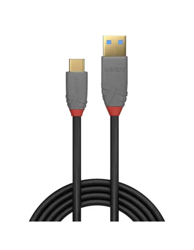 Lindy 36911 cable USB 1 m USB C USB A 10 Gbit s Negro, Gris