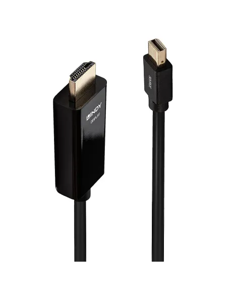 Lindy 36927 adaptador de cable de vídeo DisplayPort HDMI tipo A (Estándar) Negro