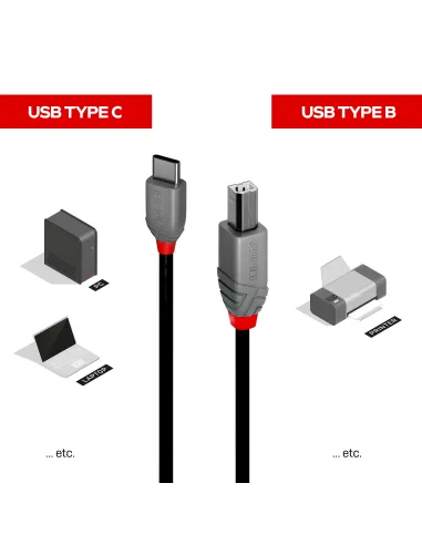 Lindy 36941 cable USB USB 2.0 1 m USB C USB B 0,48 Gbit s Negro