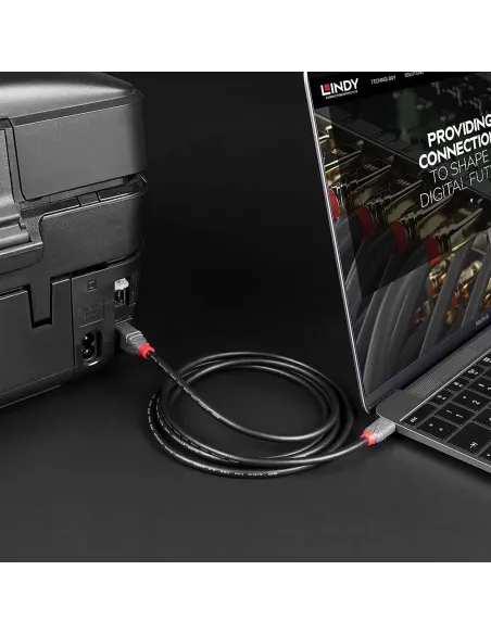 Lindy 36941 cable USB USB 2.0 1 m USB C USB B 0,48 Gbit s Negro