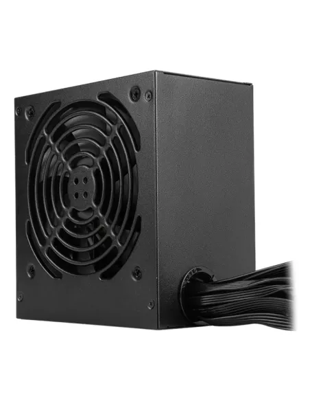 MSI MAG A750GN PCIE5 unidad de fuente de alimentación 750 W 20+4 pin ATX ATX Negro