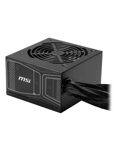 MSI MAG A750GN PCIE5 unidad de fuente de alimentación 750 W 20+4 pin ATX ATX Negro
