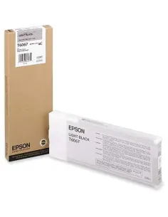 Epson Cartucho T606700 gris