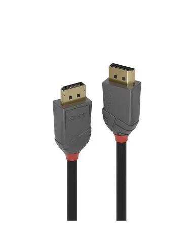 Lindy 36482 cable DisplayPort 2 m Negro