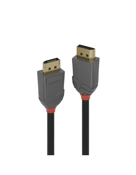 Lindy 36482 cable DisplayPort 2 m Negro