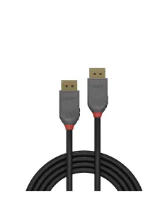 Lindy 36482 cable DisplayPort 2 m Negro 2