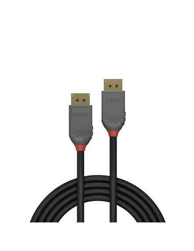 Lindy 36482 cable DisplayPort 2 m Negro